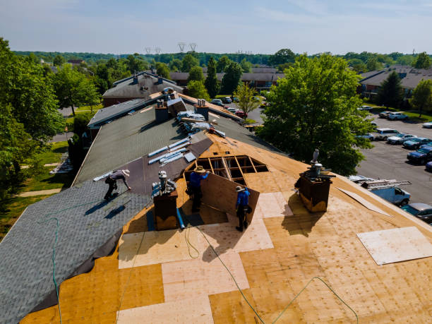 Quick and Trustworthy Emergency Roof Repair Services in Roanoke Rapids, NC