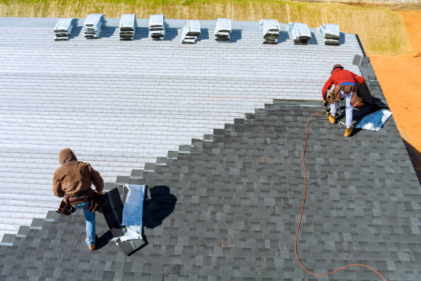 Best Storm Damage Roof Repair  in Roanoke Rapids, NC