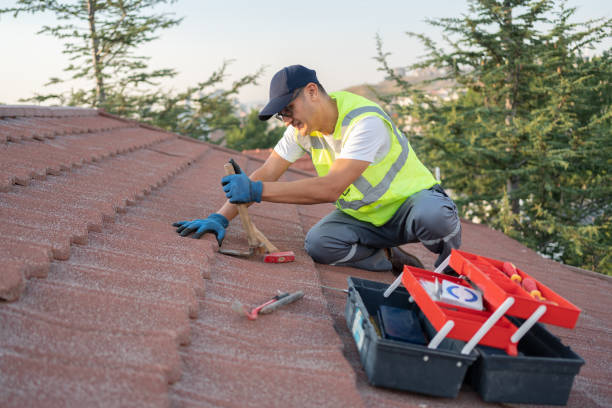Best Roof Repair Services  in Roanoke Rapids, NC