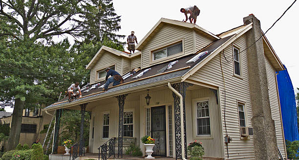 Best New Roof Installation  in Roanoke Rapids, NC