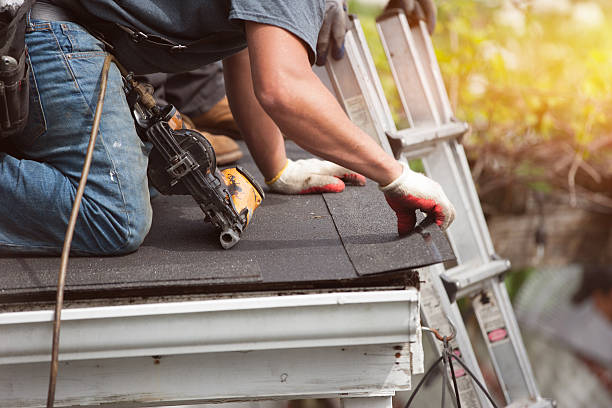 Best Roof Repair Estimates  in Roanoke Rapids, NC