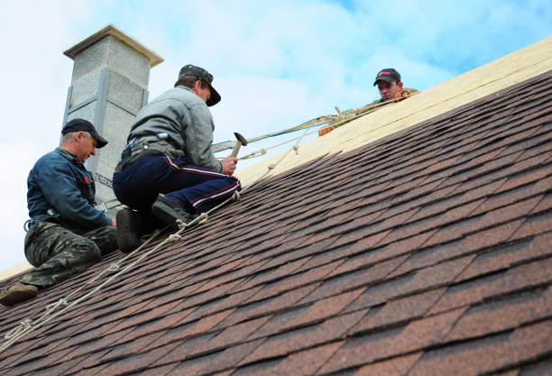 Best Residential Roofing Contractor  in Roanoke Rapids, NC