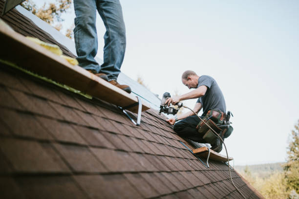 Best Roof Gutter Cleaning  in Roanoke Rapids, NC
